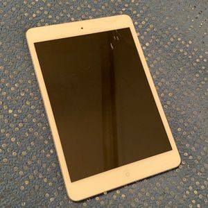 First Generation 2012 iPad Mini